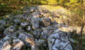 Tour Wandern Metzeral - Le belvédère du 1e Spitzkopf - Photo 14