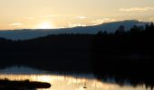 Trail On foot Kuusamo - Luontopolku - Photo 4