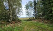 Trail Walking Manhay - Dochamps 240924 - Photo 12