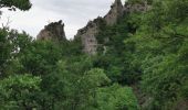 Randonnée Marche Saou - Forêt de Saou  - Photo 13