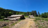 Tour Wandern Kiischpelt - Kautenbach - Sentier local KI 2 - Photo 10