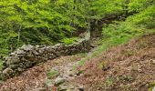 Excursión Senderismo Saint-Julien - Le tour des jasses : Bourdils Chavardes Landres Bramefan - Photo 11