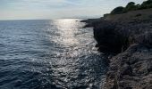 Tocht Stappen Antibes - Littoral du cap d’Antibes  - Photo 16