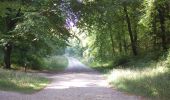 Tour Zu Fuß East Hampshire - Long Woodland Trail - Photo 1