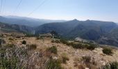 Tour Wandern Castellane - Chasteuil Rougon - Photo 4