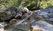 Tocht Stappen Allos - lac d'Allos. depuis la fontaine de Valplane - Photo 3