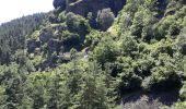 Tocht Stappen Goudet - Au fil de la Loire sauvage  - Photo 8