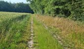 Trail Walking Villechauve - Villechauve 41310 - Photo 9