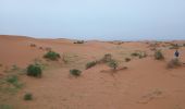 Tour Wandern M'Hamid El Ghizlane ⵎⵃⴰⵎⵉⴷ ⵍⵖⵯⵣⵍⴰⵏ امحاميد الغزلان - Parcours du matin Campement 4 - Photo 6