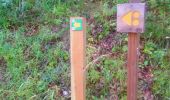 Tour Wandern La Léchère - Ronchat La Cudraz Navette Plan des Heures Balcon des Adrets de Tarentaise  - Photo 17