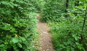 Trail Walking Cheptainville - Forêt Régionale de Cheptainville  - Photo 14