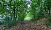 Randonnée Marche Liège - Grivegnée-Fayenbois  - Photo 4