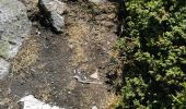 Tocht Stappen Le Monêtier-les-Bains - Le pont de l'alpe/ réf les Drayeres  - Photo 2