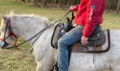 Trail Horseback riding Saint-Martin - Reprise Kaline Tivio  - Photo 12