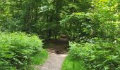 Trail Walking Fosses-la-Ville - Vitrival 030625 - Photo 20