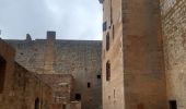Trail Walking Salses-le-Château - citadelle de Salse  - Photo 8
