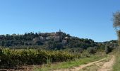 Excursión Bici de montaña Bédoin - Crillon Z'ensemble - Photo 2