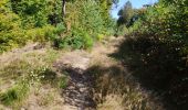 Trail Walking Tintigny - Lahage 15 septembre 2018 - Photo 5