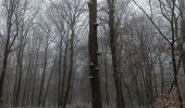Trail Walking Bouilly - Balade dans les bois - Photo 2