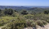 Trail Walking Saint-Rémy-de-Provence - Plateau de Caume - Photo 17