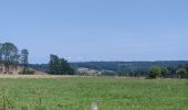 Trail Walking Aywaille - À la découverte de Harzé - Photo 8