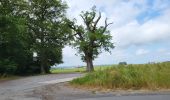 Trail Walking Mettet - Pontaury 210623 - Photo 14