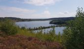 Tocht Stappen Maasmechelen - Mechelse Heide  - Photo 8