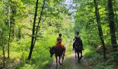 Tour Reiten Wigingen - 2024-07-18_100557.gpx - Photo 3