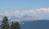 Randonnée Marche Viuz-la-Chiésaz - Semnoz, mon tour des lacs et des crêts  - Photo 7