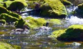 Tour Wandern Tourves - SityTrail - Tourves- Le Saut du Cabri - Les gorges du Caramy - Photo 7