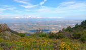 Excursión Senderismo L'Albère - ullat - san-cristau / retour par la piste  - Photo 19