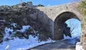 Tour Wandern Val-d'Aigoual - Le circuit du Pont Moutonnier - Photo 1