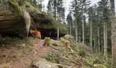 Randonnée Marche Cleurie - cleurie-la charmes-roches du thin-col du singe - Photo 3