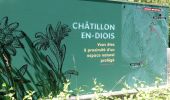 Percorso Marcia Châtillon-en-Diois - Les Cabanes de Châtillon (Glandasse) - Photo 2