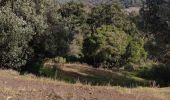 Trail On foot Fréjus - z le Capitou 29-01-19 - Photo 4