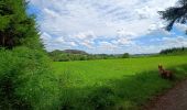 Trail Walking La Roche-en-Ardenne - 9km-hives-ardennes - Photo 3