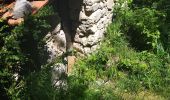 Tour Wandern Châtillon-en-Diois - 26 vallon combeau - Photo 1