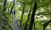 Tocht Stappen Lac de la Haute-Sûre - Bavigne 10,1 km - Photo 10