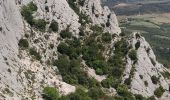 Tour Wandern Saint-Antonin-sur-Bayon - 20220512 la Sainte Victoire - Photo 5