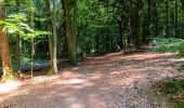 Trail Walking Liège - deuxième sortie de qwadrifyon  - Photo 6
