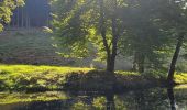 Tocht Stappen Chiny - chiny 19-09-2024 - Photo 18