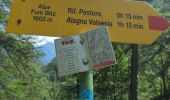 Trail Walking Alagna Valsesia - Alvania - Alpe Maller - Photo 9