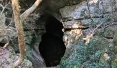 Tocht Stappen Garrigues - Garrigues-boisParis-grotte - Photo 12