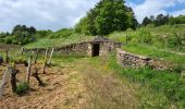 Trail Walking Pernand-Vergelesses - 01 05 22 les cabottes - Photo 14