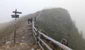 Trail Walking Brixen - Bressanone - Plose : Plöisehütte - Lüsner Scharte - Rossalm - Photo 11