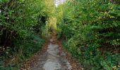 Tocht Stappen Heerlen - Langs de autoweg  - Photo 4