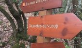 Trail Walking Tourrettes-sur-Loup - Pie Martin - Photo 4