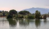 Excursión Senderismo Le Boulou - Le boulou - Saint Jean pla de corts via le lac  - Photo 11