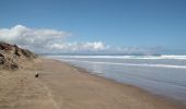 Excursión A pie Te Hiku Community - Te Araroa - 01 Northland - a Cape Reinga to Ahipara - Photo 1