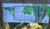 Randonnée Marche Houffalize - Engreux 070426 - Photo 16